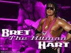 Picture for song 'Bret Hart' by artist 'MLJ Tha Beatmaker'