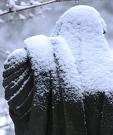 Picture for song 'Cold' by artist 'MME Dynasty'