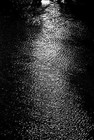 Picture for song 'Bijerlandselaan '05' by artist 'Morpher2005'
