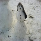 Picture for song 'Paa Laaven Sitter Nissen' by artist 'Morten Gjermundsen'