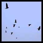 Picture for song 'SOUTH OF WINTER' by artist 'MotionGo'