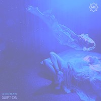 Picture for song 'Slept On' by artist 'Mr.Kooman'