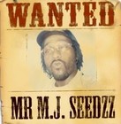 Picture for song 'Mr M.J. Seedzz-Christian Bruh' by artist 'Mr M.J. Seedzz'