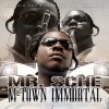 Picture for song 'Where Dem Hookers At' by artist 'MrSche Immortal Lowlife'