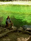 Picture for song 'River Rolling By' by artist 'Murray Webster'