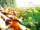 Picture for song 'tsis pua' by artist 'MUSICsoul'