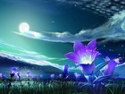 Picture for song 'Zz's dream' by artist 'Mystery Muse'