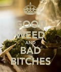 Picture for song 'Good Weed,Bad B*tches' by artist 'Naved Kool'