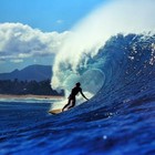 Picture for song 'High Tides & High Times...' by artist 'Neeko Suave'