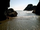 Picture for song 'EVERLASTING (Guitar Mix)' by artist 'New Jazz Movement'