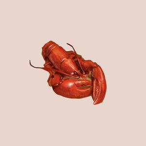 Picture for song 'Steak And Lobster' by artist 'Nick Vanelli'