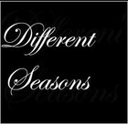 Picture for song 'DIFFERENT SEASONS' by artist 'Nightime Maneuvers'