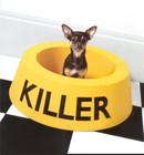 Picture for song 'Vs Jonezy ( RapBattles.com)' by artist 'Night The Battle Raps'