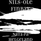 Picture for song 'Aurora (Lys)' by artist 'Nils-Ole Finbak'