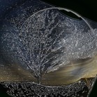 Picture for song 'PLANETA VERDE 1 PARTE' by artist 'nirmanakaya'