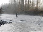Picture for song 'cold morning' by artist 'N J Buckingham'