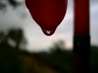 Picture for song 'Orange' by artist 'Non Expedit'