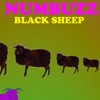 Picture for song 'Black Sheep' by artist 'Numbuzz'