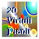 Picture for song 'DGX-630 Piano- 20 Virtuii Pianii - Excerpt 01b' by artist 'Numi Who'