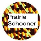 Picture for song 'PSR-180 Electronic Pop- Prairie Schooner' by artist 'Numi Who'