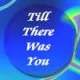 Picture for song ''Till There Was You (instrumental)' by artist 'Numi Who Creative Covers'