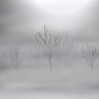 Picture for song 'Snowy Night' by artist 'Odyssey2'