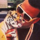 Picture for song 'Halloween (Migos)' by artist 'OXBLOOD HIT 'EM!'