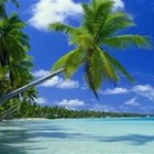 Picture for song '*SMOOTH* Lost paradise ft.Rawbeatzz (Live Guitars)' by artist 'pablo beats'