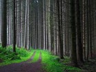 Picture for song 'Old Country Road' by artist 'PAGANSAGE'