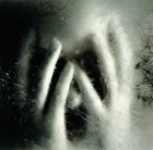 Picture for song 'Screams of Pain' by artist 'Palm Tree Death Incident'