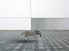 Picture for song 'Crossing The Line' by artist 'Paul C Williams'