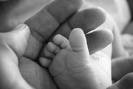 Picture for song 'Fathers pride 2009.MP3 900913' by artist 'paul taylor musician'