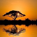 Picture for song 'Africa' by artist 'Pawel Jurdziak'