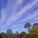 Picture for song 'Ethereal Breeze3' by artist 'Pawel Jurdziak'