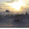Picture for song 'Footsteps in the snow' by artist 'peter thorn'