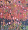 Picture for song 'Sara' by artist 'peter thorn'