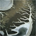 Picture for song 'Soda Lake' by artist 'Phanta Sci'