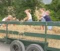 Picture for song 'Hayride' by artist 'Pinecats'