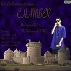 Picture for song '01. The Underground King [Intro]' by artist 'Playboy Chamber'