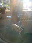 Picture for song 'demi sec' by artist 'pretty evil'