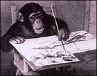 Picture for song 'Petit Homme' by artist 'Primitive'