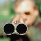 Picture for song 'Barrel Of My Gun' by artist 'PrimoMuzik'