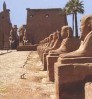 Picture for song 'Secrets of Tombs' by artist 'Project OraCool'