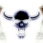 Picture for song 'Pet Cemetery 2010' by artist 'Psycho Metal'