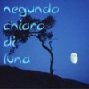 Picture for song 'Chiaro di Luna (Demo)' by artist 'Rado Negundo'