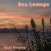 Picture for song 'SEA LOUNGE' by artist 'RAINDROP ON TARGET'