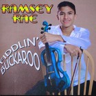 Picture for song '05 Constitution Breakdown' by artist 'Ramsey Rae'