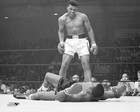 Picture for song 'natural born fighter' by artist 'rapper jg'