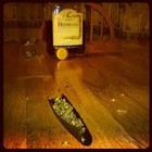 Picture for song 'Weed&Liquor*New4LeasesFor40$Text760-589-8696' by artist 'Red Drum Beats'