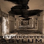 Picture for song 'Asylum' by artist 'Retrospecter'